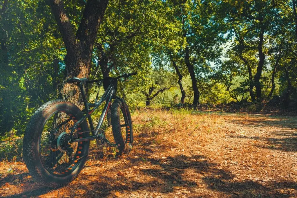Jak dbać i wydłużyć żywotność baterii w rowerze elektrycznym? Jak dbać i wydłużyć żywotność baterii w rowerze elektrycznym?