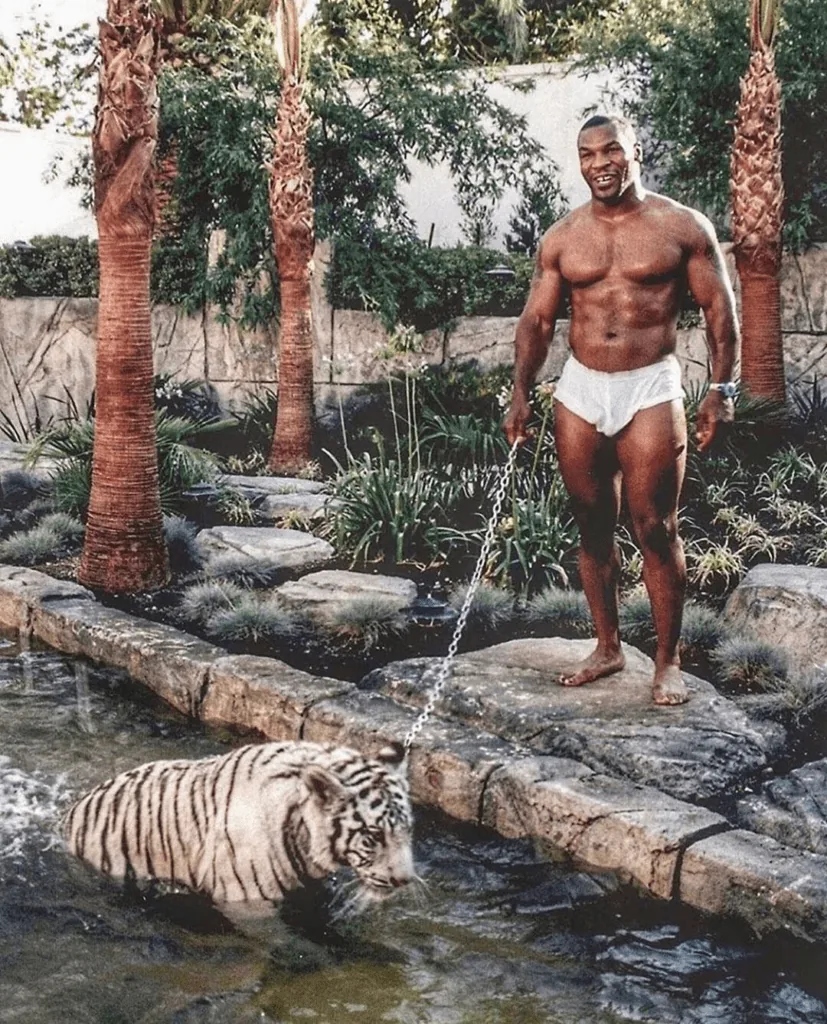 Mike Tyson w trakcie kariery bokserskiej