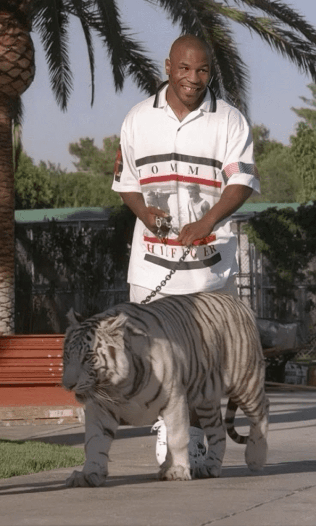 Mike Tyson – biznes konopny Tyson Ranch