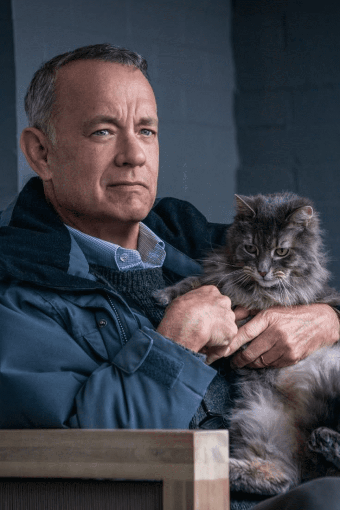 Tom Hanks majątek 2026 – ile wynosi fortuna gwiazdy Hollywood tom hanks majątek Nieruchomości Toma Hanksa