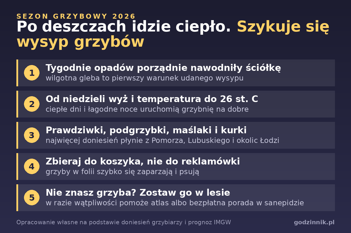 Infografika o nadchodzącym wysypie grzybów po deszczach i ociepleniu