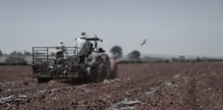 Rolnik wyszedł w pole i trafił na arsenał. Saperzy wywieźli spod Płońska ponad 700 niebezpiecznych znalezisk Traktor orzący pole uprawne