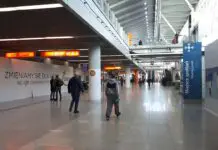 Wracasz z emigracji? Przez cztery lata możesz nie zapłacić ani złotówki podatku dochodowego Podróżni z bagażami w hali przylotów Lotniska Chopina w Warszawie