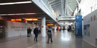 Wracasz z emigracji? Przez cztery lata możesz nie zapłacić ani złotówki podatku dochodowego Podróżni z bagażami w hali przylotów Lotniska Chopina w Warszawie