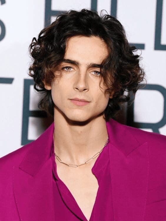 Timothée Chalamet – wiek (30 lat), wzrost, filmy i życie prywatne