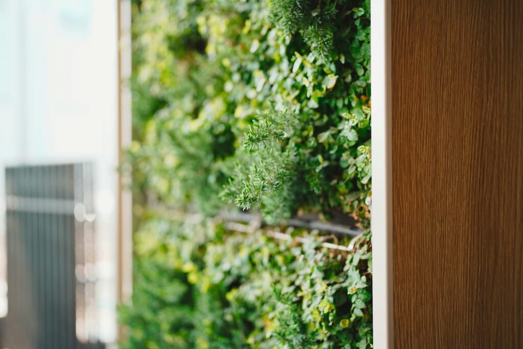 Zielone ściany – czy roślinna architektura poprawia jakość pracy? Zielone ściany Zielone ściany