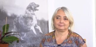 Czipowanie pozwala o jedną czwartą zmniejszyć bezdomność psów i kotów. UE chce wprowadzić taki obowiązek