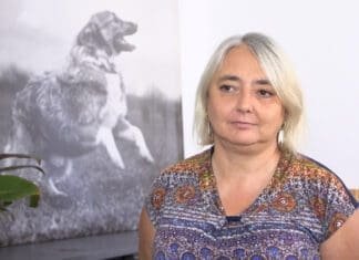 Czipowanie pozwala o jedną czwartą zmniejszyć bezdomność psów i kotów. UE chce wprowadzić taki obowiązek