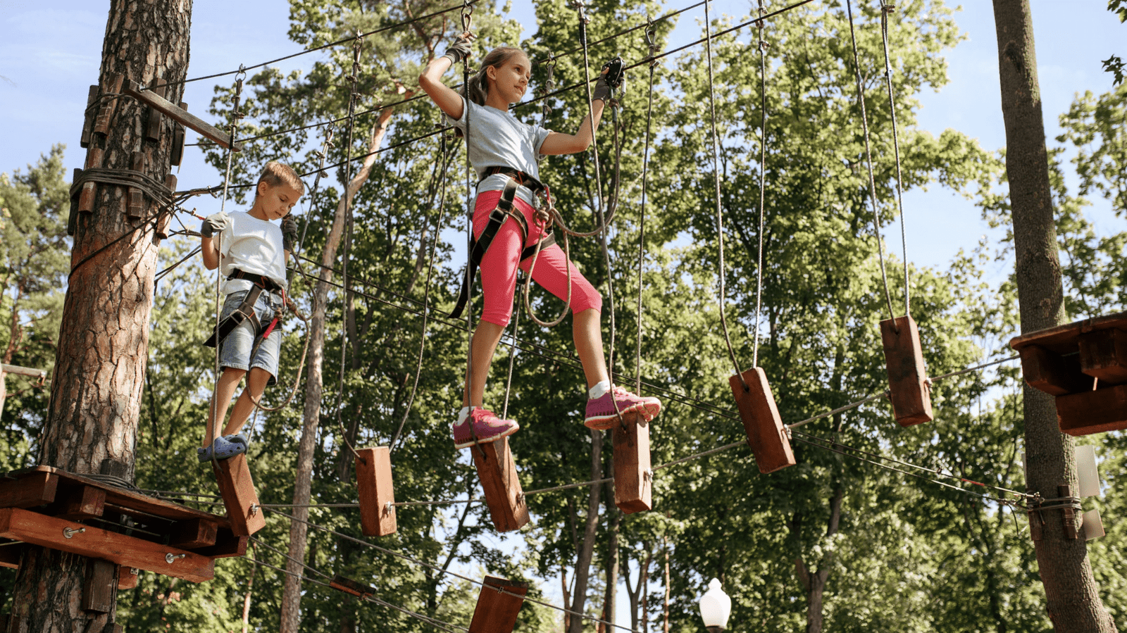 Park linowy Warszawa – najlepsze miejsca na przygodę na wysokości