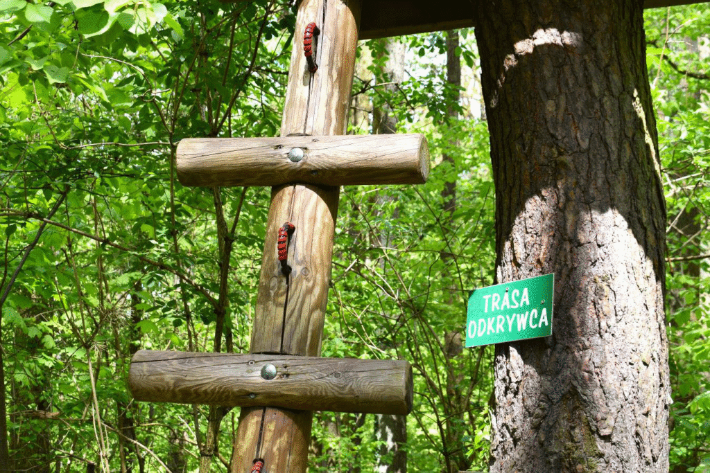 Park linowy Warszawa – najlepsze miejsca na przygodę na wysokości park linowy warszawa Park Linowy Powsin
