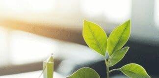 Dlaczego efektywność energetyczna to już nie wybór, a konieczność?