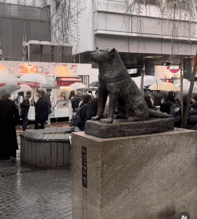 Hachikō – pies, który nauczył świat wierności