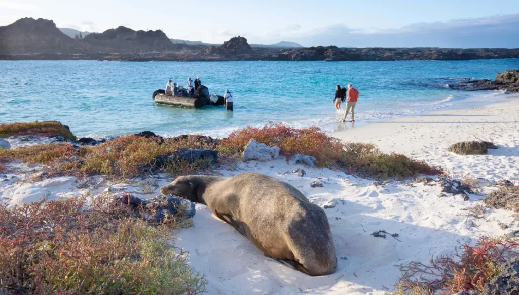 Rejsy i ekspedycje z CARTER, których nigdy się nie zapomina