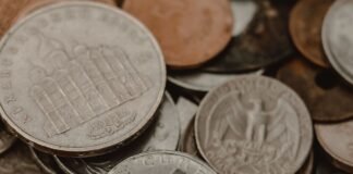 Poszedł z wykrywaczem do lasu pod Nowym Dworem. W glinianym dzbanie czekał skarb sprzed 400 lat Sterta starych, pokrytych patyną monet znalezionych w ziemi