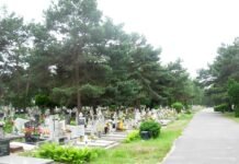 Aleja cmentarza komunalnego z nagrobkami i kwiatami