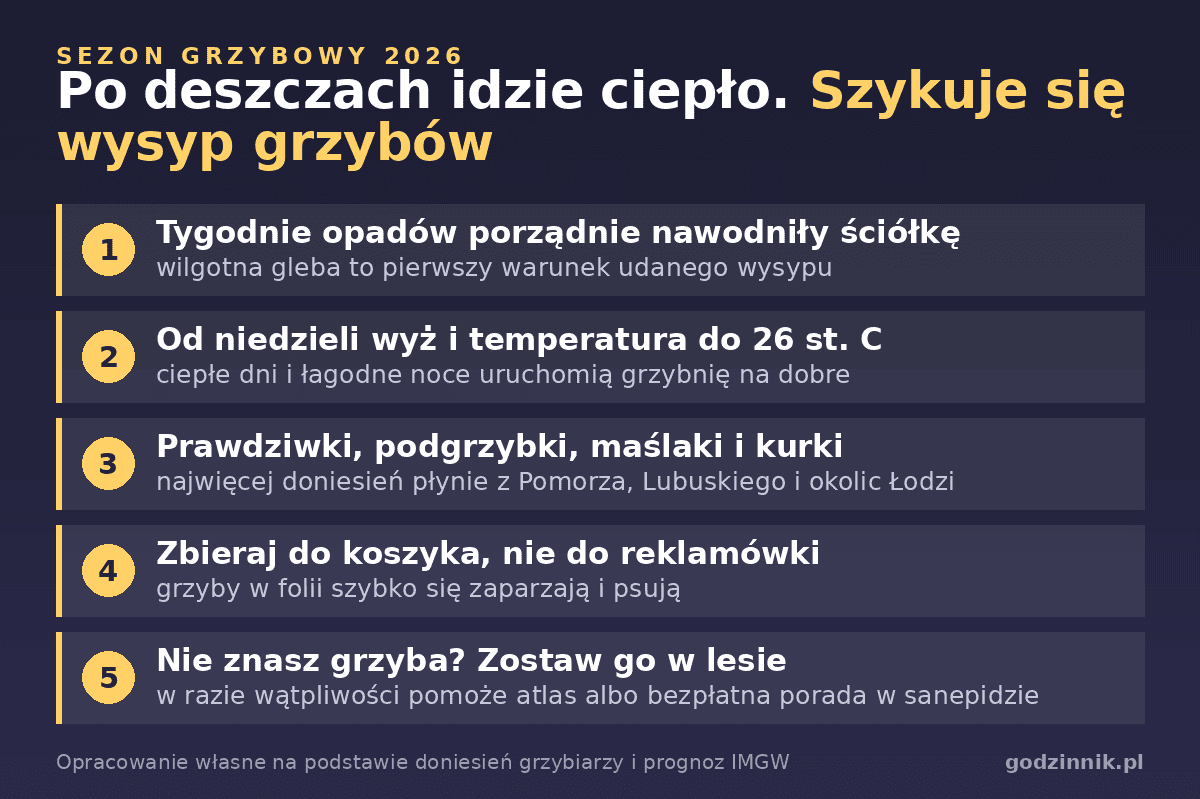 Infografika o nadchodzącym wysypie grzybów po deszczach i ociepleniu