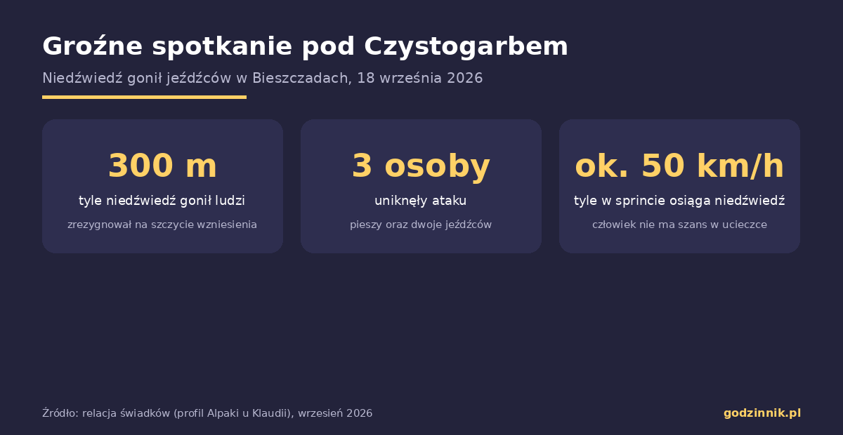 Infografika z najważniejszymi liczbami dotyczącymi pościgu niedźwiedzia za ludźmi w Bieszczadach