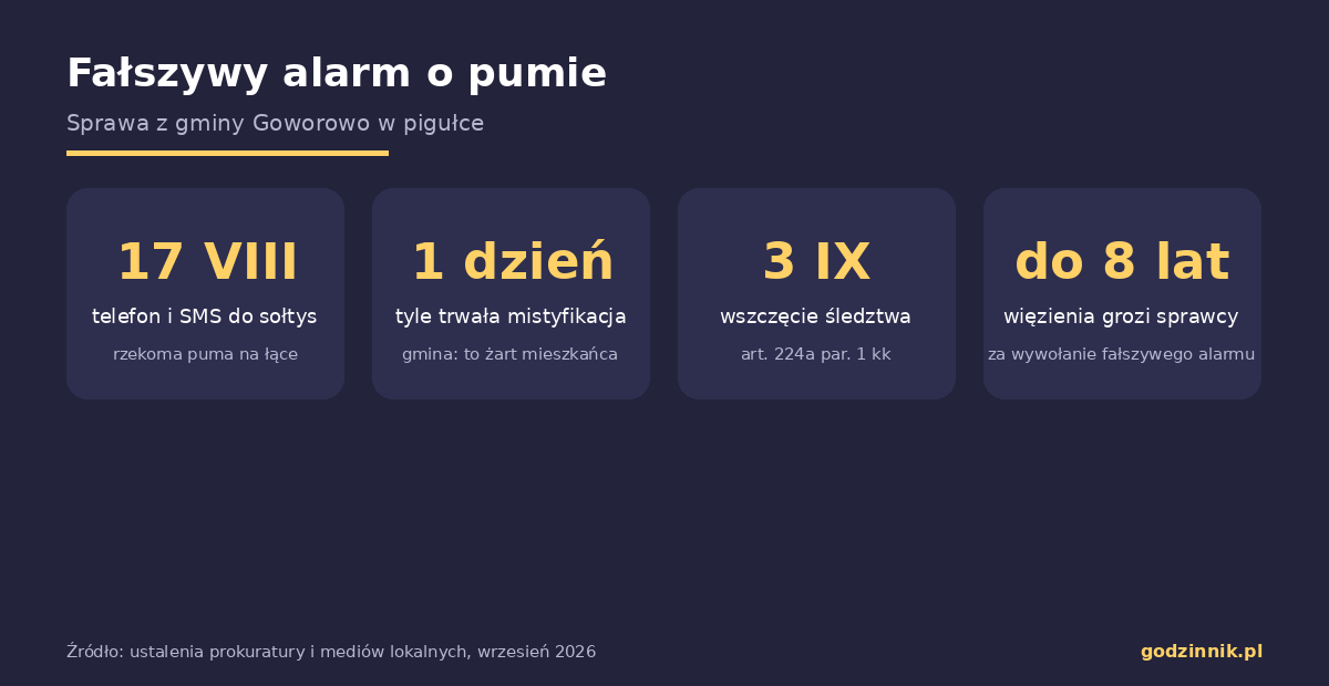 Infografika z osią czasu sprawy fałszywego alarmu o pumie w gminie Goworowo