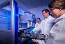 Przez 15 lat był nieuchwytny. Zdradziło go DNA krewnego, który chciał tylko poznać swoich przodków Naukowiec podczas ekstrakcji DNA w laboratorium