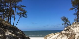 Pusta plaża z wydmami nad Morzem Bałtyckim