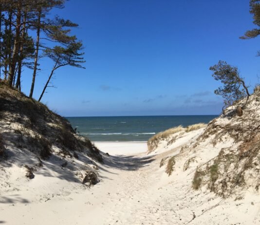 Pusta plaża z wydmami nad Morzem Bałtyckim