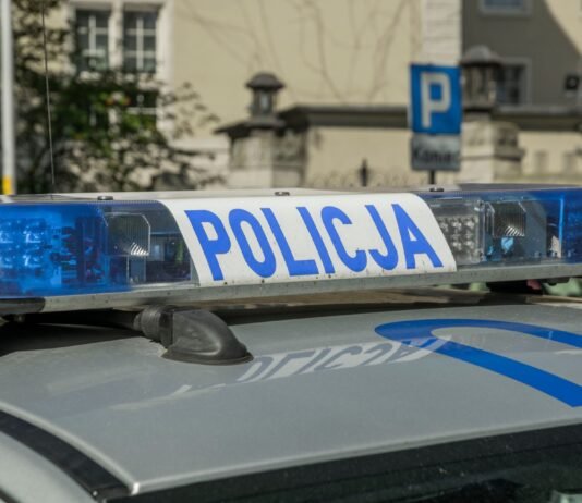 Ukrywał się od sierpnia, wpadł pod Warszawą. Ostatni kolega Łukasza Żaka trafił za kratki Belka świetlna polskiego radiowozu policyjnego z napisem Policja, zdjęcie ilustracyjne