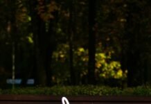 Złota jesień zacznie się żegnać etapami. Najpierw wrócą deszcze, chwilę później poczujemy wyraźne ochłodzenie Przezroczysty parasol z jesiennymi liśćmi w parku
