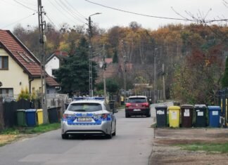 Policyjny radiowóz na osiedlowej ulicy